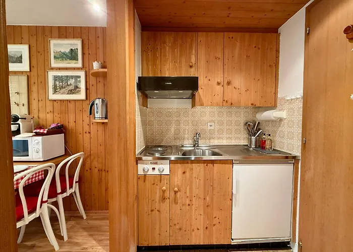 Au Centre De La Station Apartment *